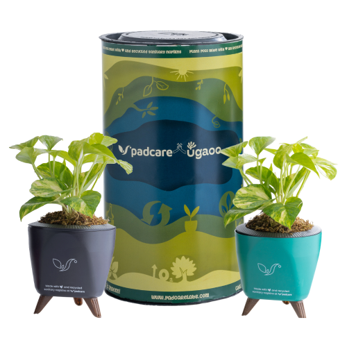 Rebirth Plant Pots