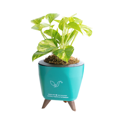 Rebirth Plant Pots