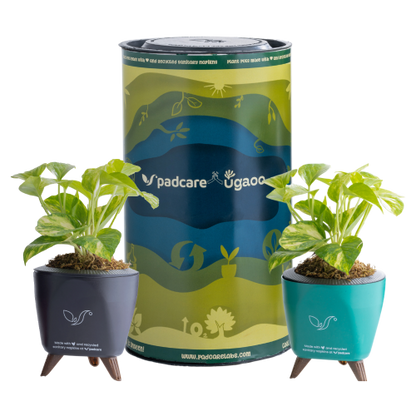 Rebirth Plant Pots